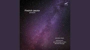 12 Studien: No. 6, Schwarzweiß