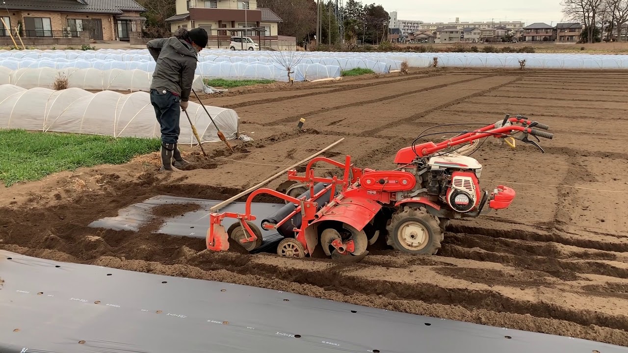 春作について先輩と打ち合わせ