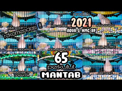 MASTERAN fAVORIT MURAI BATU  LENGKAP || TEMBAKAN SUPER KASAR TAJAM || berjedah 2jam