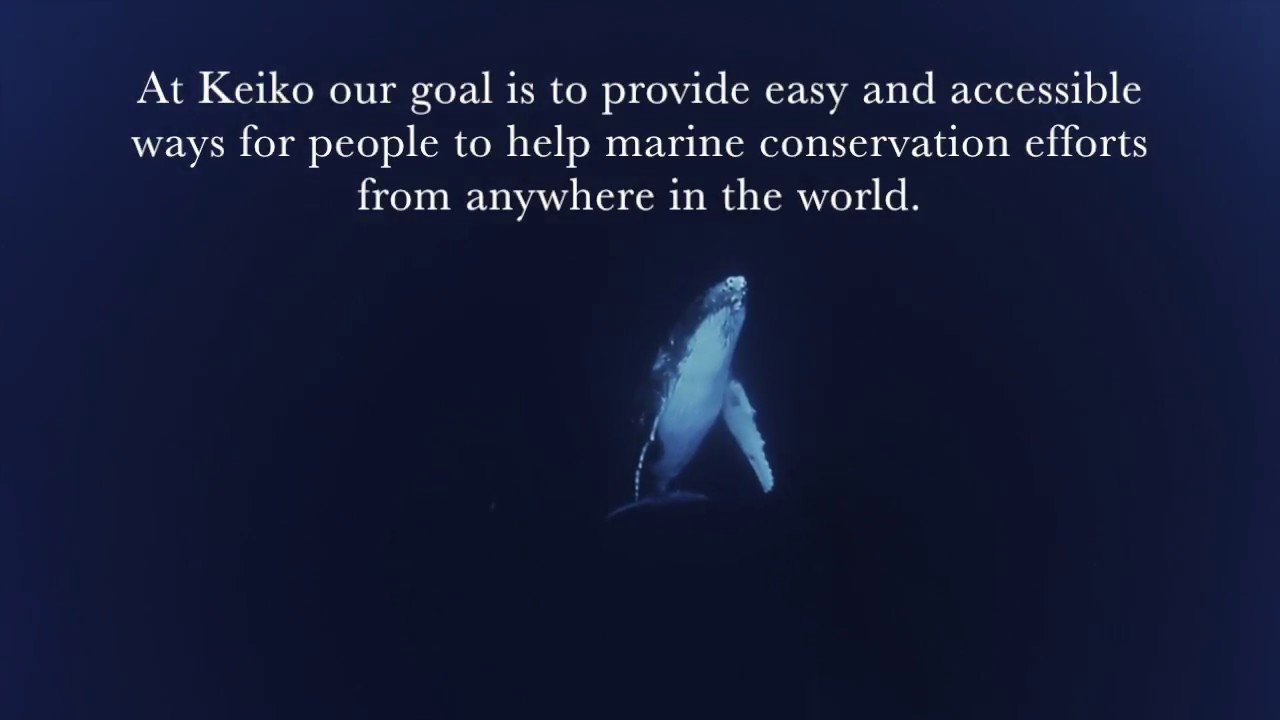 Keiko For Ecuador ENGLISH