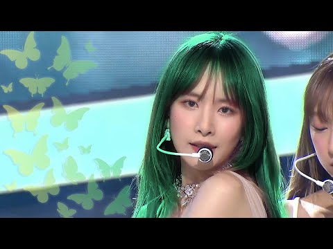우주소녀(WJSN) - BUTTERFLY + WHERE YOU ARE - 교차편집(stage mix)