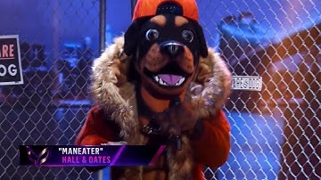 Rottweiler "Chris Daughtry" - Maneater (Masked Singer S2E1)