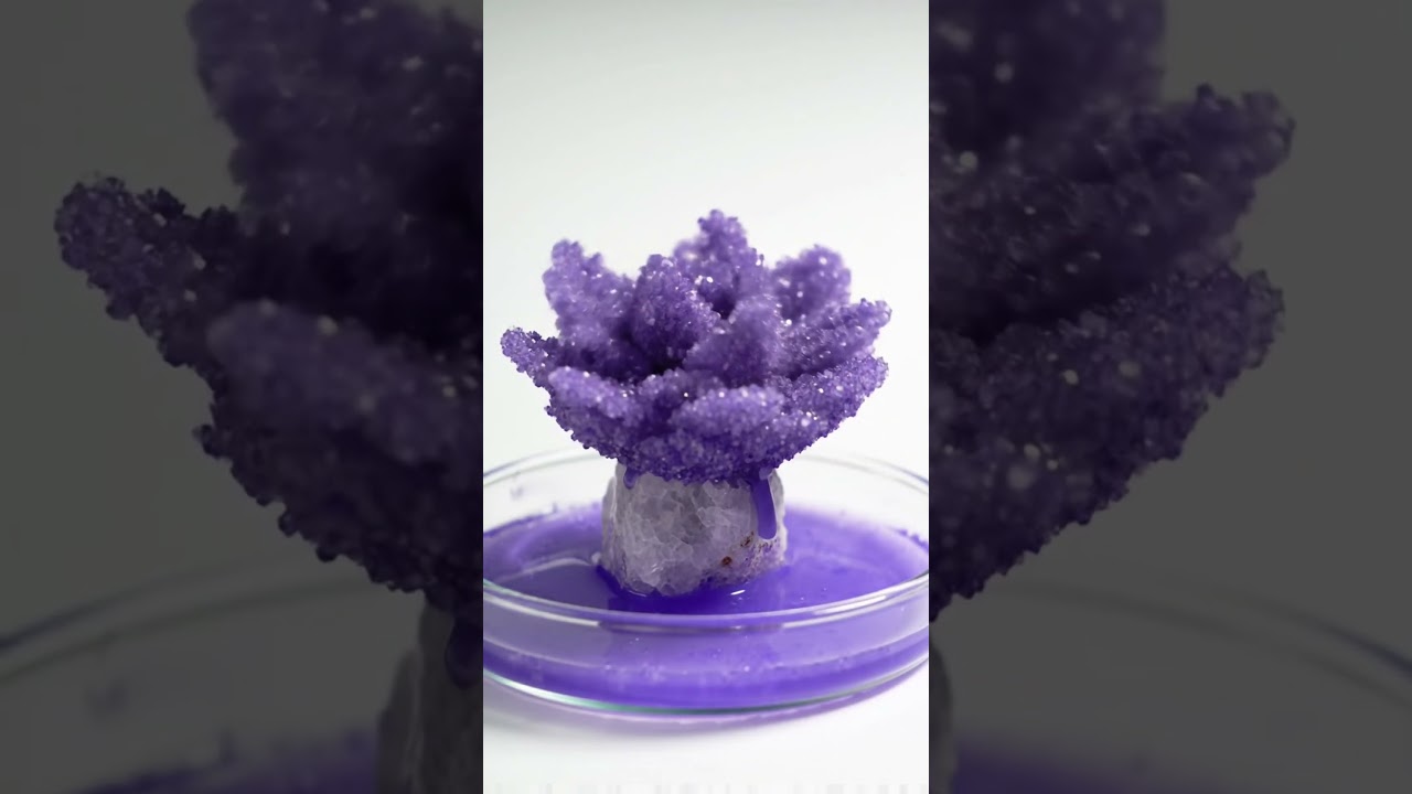 Crystal Bloom: Hypnotic Purple Flower Grows on Stone