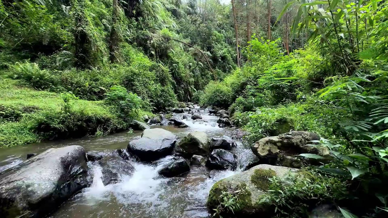 Nighttime river relaxation reducing stress so deep sleep can flow smoothly and safely