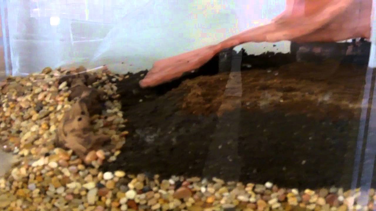 Falsebottom Terrarium with waterfall pt. 2 YouTube
