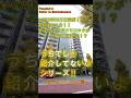 2026年2月末完成予定新築賃貸マンション!東大前駅徒歩2分!誠之小学区2LDKファミリータイプ #文京区不動産 #ベステックス #文京区賃貸 #東京大学 #誠之小学校 #内見動画