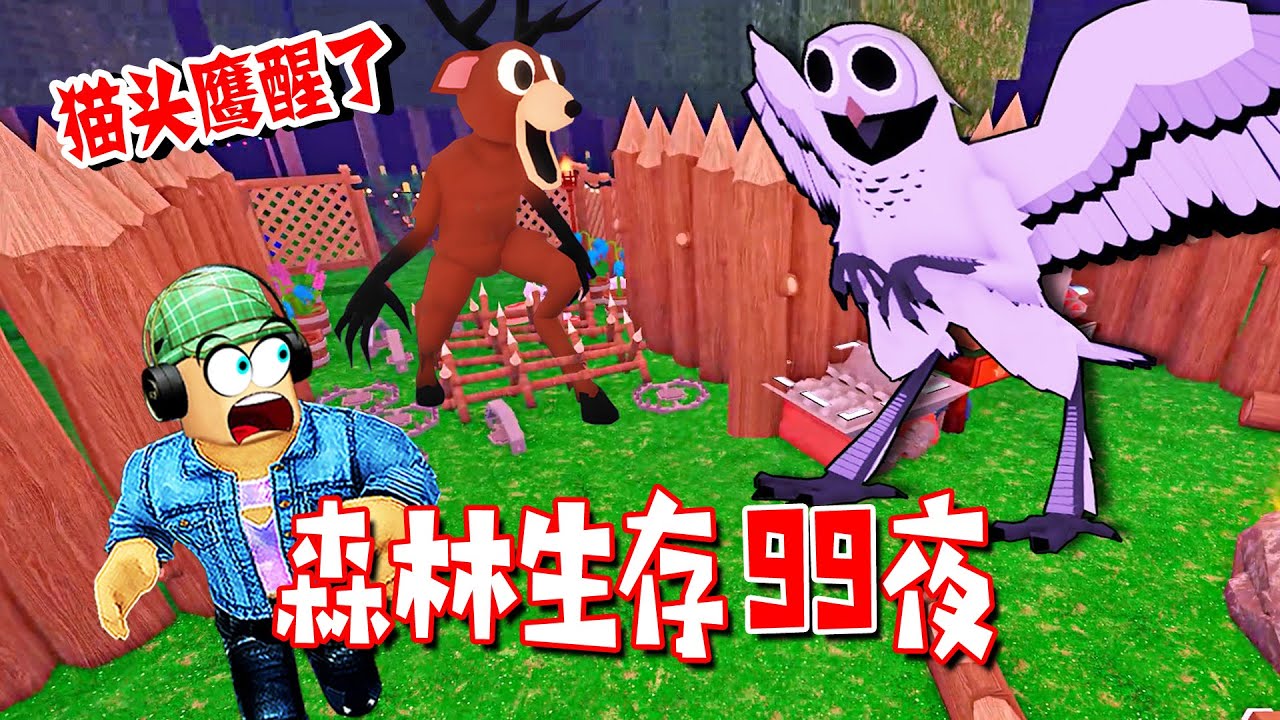 森林生存99夜：當夜晚來臨，貓頭鷹醒了 | 99 Nights in the Forest🔦 ROBLOX