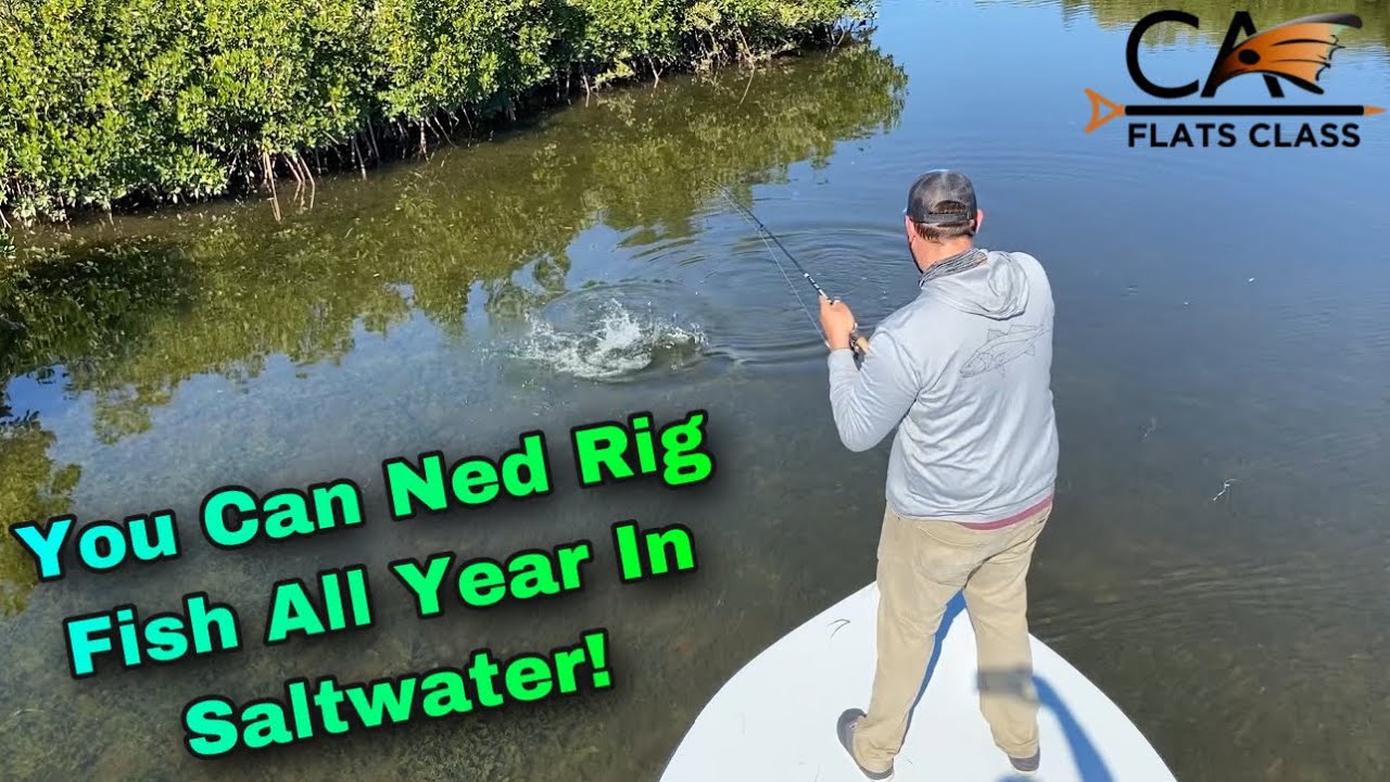 Ned Rig Fishing Works All Year In Saltwater! - Flats Class