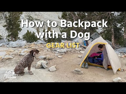 Vídeo: Dog Camping ou Caminhadas Packing List