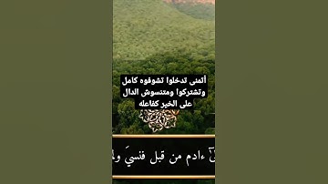 تلاوة خاشعة من سورة طه#تلاوة_خاشعة #القرآن_الكريم#سورة_يس#قرآن #قران_كريم#اكسبلور #الشامي#اسلام_صبحي