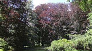 Morlanwelz Park Marimont