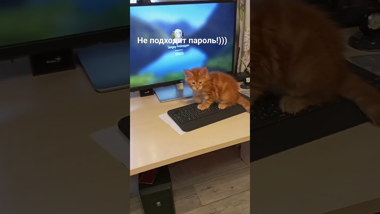 Fenix Refined Miracle*RU забыл пароль!))) 