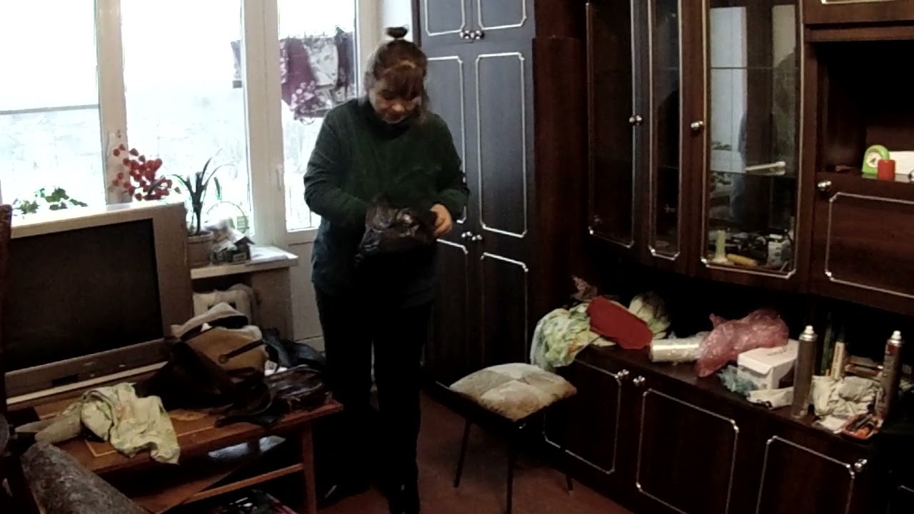 Купили в Сланцах квартиру