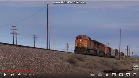 I Interrupt Tromolon Fanz For Interrupting Bonnie The Bunny 2002