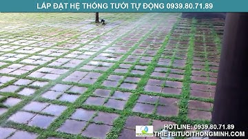 Thi công lắp đặt hệ thống tưới cỏ cảnh quan sân vườn nhà phố, biệt thự tự động tại tphcm