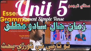 Unit 5 | Present Simple/Indefinite Tense (I do/I work/I like etc| Essential Gram 4th Ed | سنڌي ترجمو