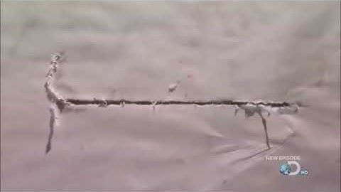 Bullet Fired vs Bullet Dropped - Mythbusters for the Impatient