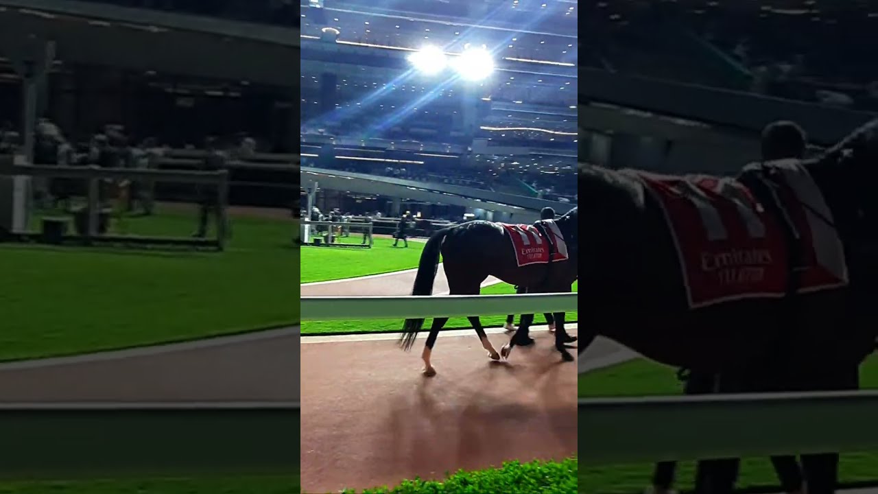 DUBAI PUBLIC TV is live DUBAI RACING CARNIVAL 🇦🇪