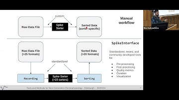 Alessio Buccino (Allen Institute) - SpikeInterface, a unified framework for spike sorting