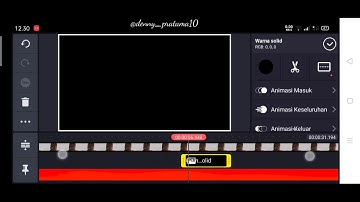 Cinematic Strobe Effect in Kinemaster
