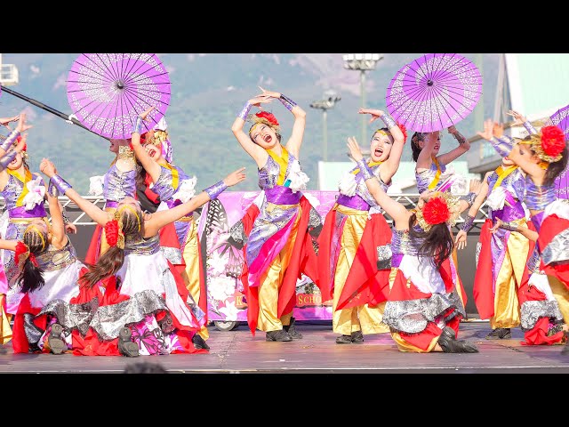 4K] 蝶ひらり〜KDS〜【決勝演舞】 かごしま春祭大ハンヤ 2025 日曜日