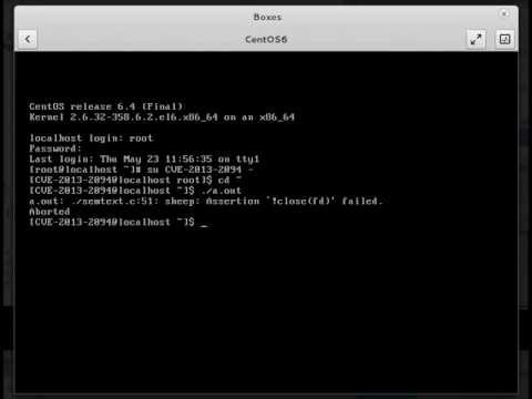 CVE-2013-2094