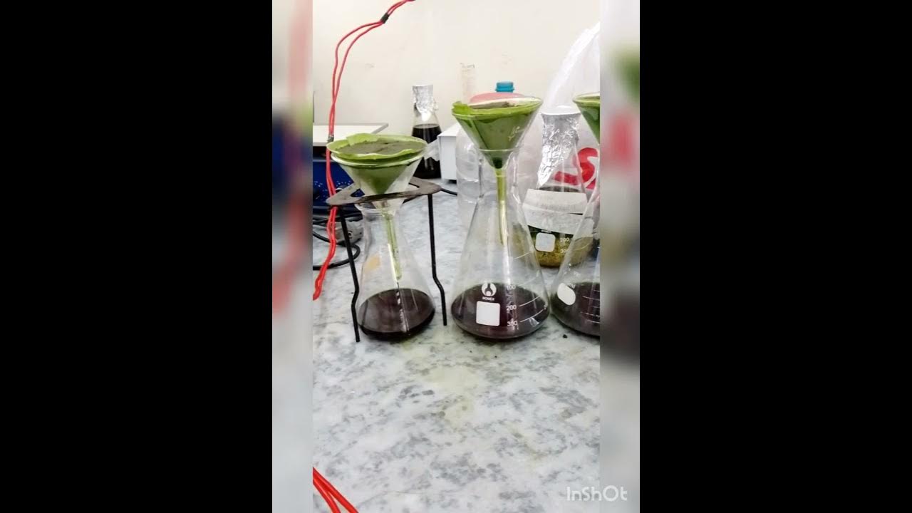 Extraction of plant material after maceration solutionpharmacy 
