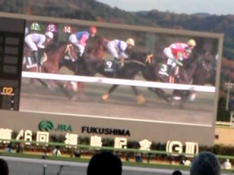 2010福島記念ファンファーレ、レース
