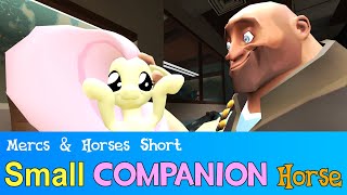 [GMOD] The Small Companion Horse (BLU Side)