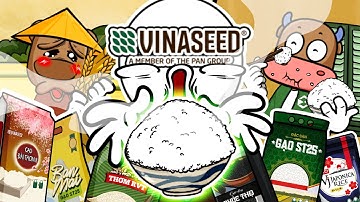 VINASEED - HÀNH TRÌNH HẠT GẠO LÀNG TA: ĐIỀU GÌ TẠO NÊN SỰ KHÁC BIỆT? | CÂU CHUYỆN KINH DOANH