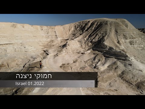 Видео: Израилийн цэцэглэдэг Негев цөл