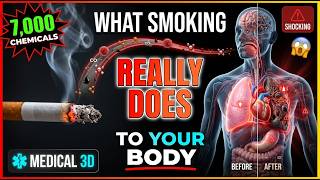 Smoking Effects on Body Explained with 3D Medical Animation | Quit Smoking