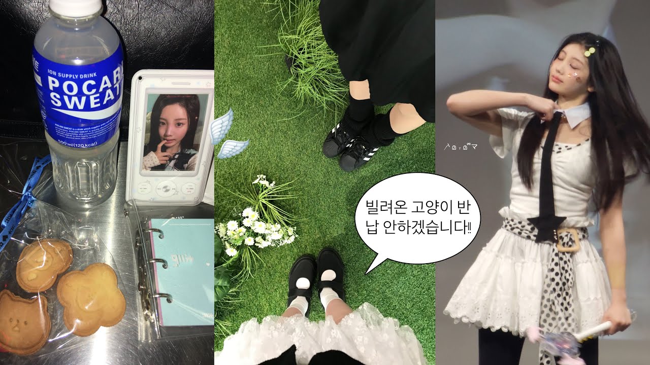 [글릿로그] 빌려온 고양이 반납 안할래요