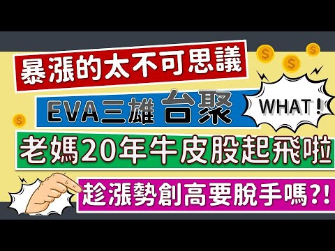 老媽20年的台聚終於飆高音啦！要賣掉嗎？！EVA塑膠三雄~台聚/亞聚/台塑大剖析！原物料需求仍舊強強滾？古雷投資案帶來新一波高音？！CC字幕