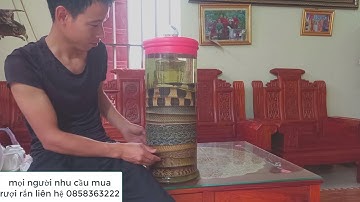 Những mẫu bình rượu đẹp có một không hai từ bàn tay thơ săn mãng xà