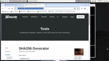 Cracking the Code: A Dive into Hash Algorithms and Password Auditing with Kali Linux