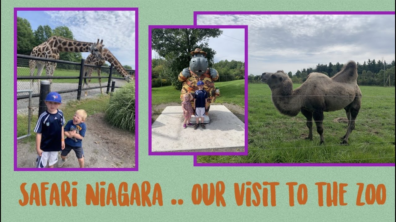 Safari Niagara... MJCubed kids visit the ZOO!! YouTube