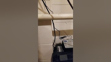 Basement Watchdog Part 1(3)