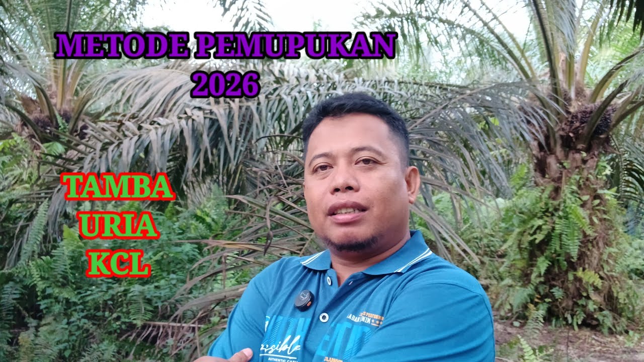 Metode Pemupukan 2026, Urea, dan KCl untuk Meningkatkan Kandungan Unsur Hara Tanah dan Hasil Panen