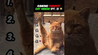 Ranking FUNNIEST CAT VIDEOS Ever!! (Part 3) 😹😂 #funny #cats #catvideos #catshorts #compilation