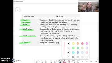Breaking down the Ethogram