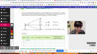 Carbon in Trees # 4 - Calculating Tree Height