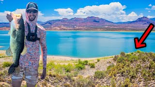 On the Search for BIG Bass ONLY in Arizona!