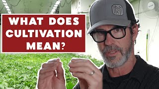 How plants can teach us life skills!