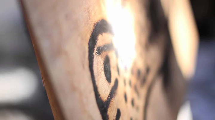 Giant fresnel lens burns fish!