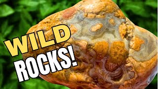 UNUSUAL FINDS Rockhounding on the Yellowstone River by KatyDid ROCKS! 20,297 views 1 month ago 14 minutes, 7 seconds