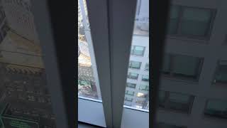 MY VIEW😂🤣😅#goodvibes #nyc #nyclife #honey #views #view