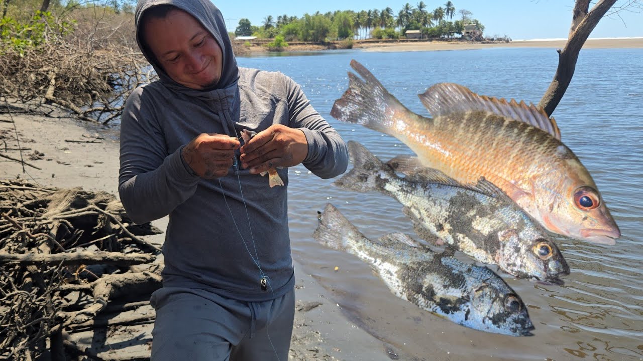 🛑Buscando carnasa para anzueliar😲 y mira el pargo que agarro elvin (:AVENTURAS INTIPUQUEÑAS 503:)