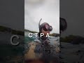 Среща с акули Еквадор пътуване Галапагос Среща с акули Еквадор пътуване Галапагос