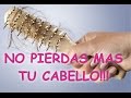 🥇 TRATAMIENTO para EVITAR la CAIDA del CABELLO 💜 RECETA casera para EVITAR CAIDA del CABELLO